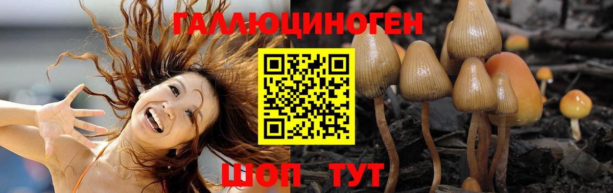 Псилоцибиновые грибы мицелий Калининград